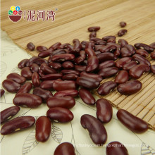 scientific name of beans big size high quality dark red kidney beans 180-200pcs/100g